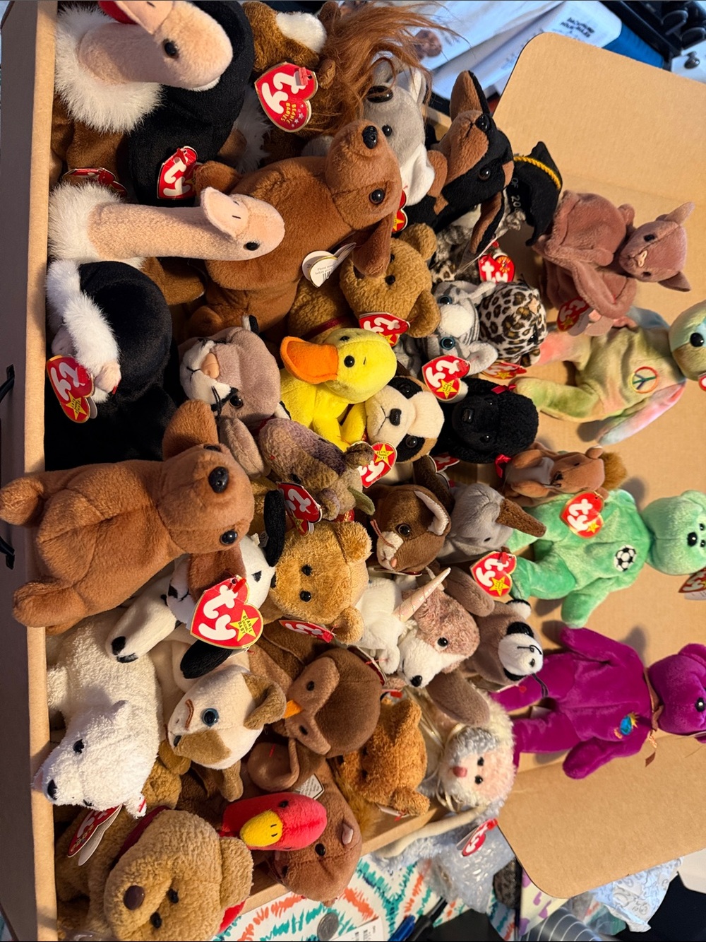Ty Beanie Babies Assorted Plush Toy Collection - Multicolor choose 2